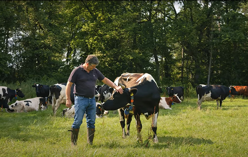 Ralf Weber besucht seine Kühe auf dem Bauckhof in Amelinghausen.
