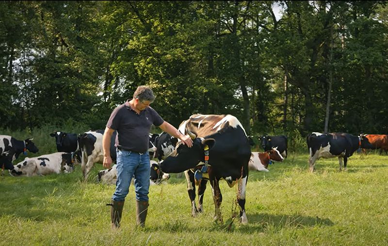 Ralf Weber besucht seine Kühe auf dem Bauckhof in Amelinghausen.